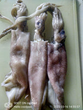 Load image into Gallery viewer, Fish and seafood