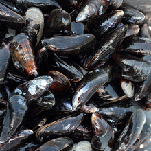 Load image into Gallery viewer, Fish and seafood