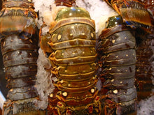 Load image into Gallery viewer, Fish and seafood