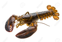 Load image into Gallery viewer, Fish and seafood