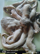 Load image into Gallery viewer, Fish and seafood
