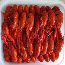 Load image into Gallery viewer, Fish and seafood
